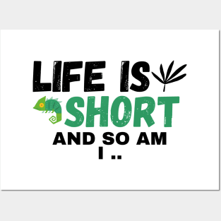 Life Is Short, And So Am I Posters and Art